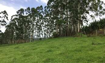 Imagem 5: Área rural de 54 mil m² em Piçarras