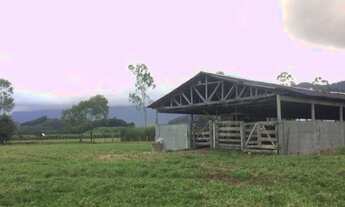 Imagem: Fazenda de 150 hectares em Santa Catarina