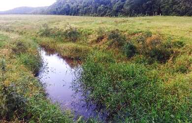 Imagem 6: Fazenda de 150 hectares em Santa Catarina - Para investidor