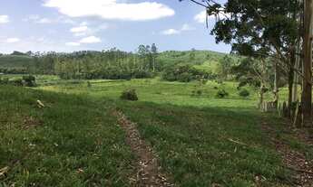 Imagem 3: Área rural de 29 mil m² em Piçarras