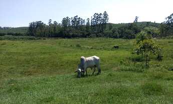 Imagem: Área rural de 29 mil m² em Piçarras