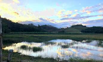 Imagem 2: Área com 15 Hectares em Luiz Alves