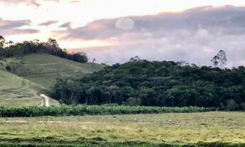 Imagem 3: Área com 15 Hectares em Luiz Alves