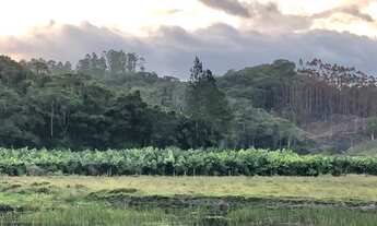 Imagem 4: Área com 15 Hectares em Luiz Alves