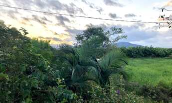 Imagem 5: Área com 15 Hectares em Luiz Alves