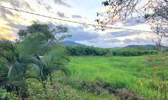Imagem 6: Área com 15 Hectares em Luiz Alves