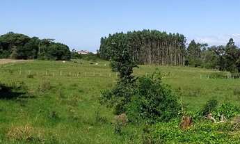 Imagem: Área com 20.000 m2