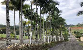 Imagem: Chacrinha no bairro Morretes em Piçarras