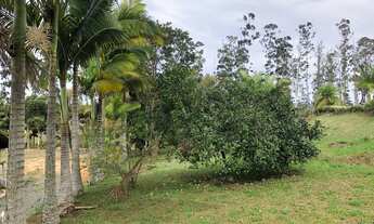 Imagem 3: Chacrinha no bairro Morretes em Piçarras