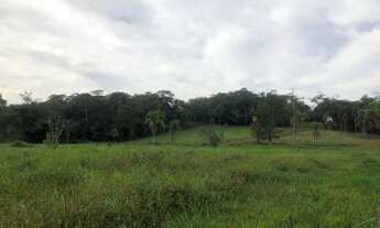 Imagem 6: Terreno para sítio em Piçarras