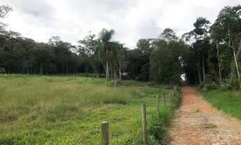 Imagem 7: Terreno para sítio em Piçarras