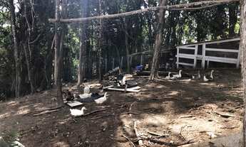 Imagem 6: Chácara em Itajuba na cidade de Barra Velha SC