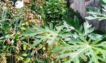 Imagem 3: TERRENO RESIDENCIAL em Jundiai - SP, Vila Progresso