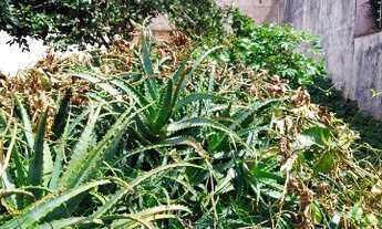 Imagem 4: TERRENO RESIDENCIAL em Jundiai - SP, Vila Progresso