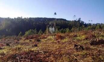 Imagem: ÁREA COMERCIAL À VENDA, BAIRRO MATO DENTRO,JUNDIAÍ