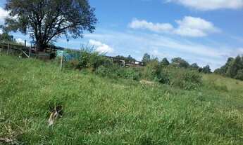 Imagem 6: ÓTIMA OPORTUNIDADE! DE INVESTIMENTO. ÁREA À VENDA, 52.000 M² POR R$ 15.000.000 - MEDEIROS