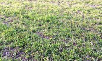 Imagem: Excelente terreno à venda Condomínio Residencial