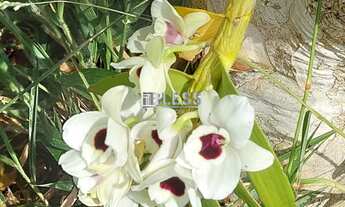 Imagem 4: Chácara á venda no bairro VILLAREJO SOPÉ SERRA - Cabreúva