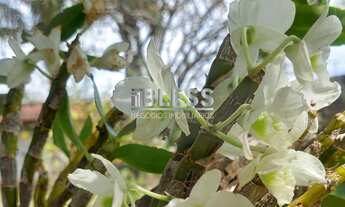 Imagem 7: Chácara á venda no bairro VILLAREJO SOPÉ SERRA - Cabreúva
