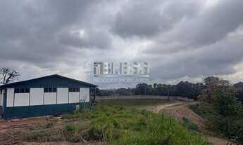 Imagem 6: TERRENO PARA LOCAÇÃO NO BAIRRO JARDIM COLINAS - FRANCO DA ROCHA