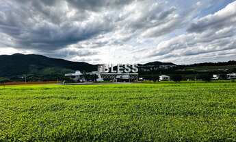 Imagem 3: Lindo terreno à venda no condomínio Alphaville I