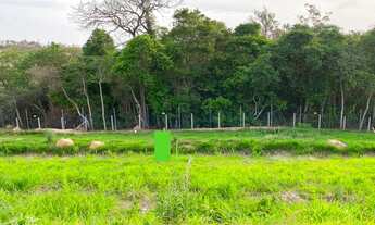 Imagem: TERRENO À VENDA E SEM VIZINHOS NO FUNDO