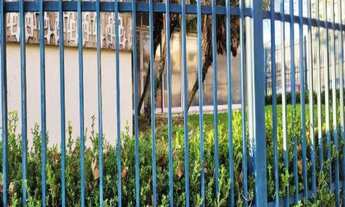 Imagem 3: CASA COMERCIAL PARA LOCAÇÃO - JARDIM ANA MARIA, JUNDIAÍ/SP