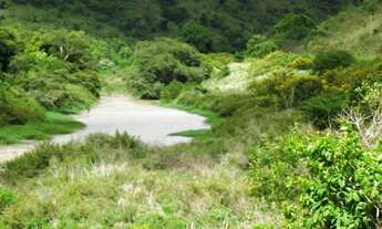 Imagem: FAZENDA HUMAITÁ para Venda PRÓXIMA DE