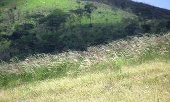 Imagem 4: FAZENDA HUMAITÁ para Venda PRÓXIMA DE ITAMBÉ