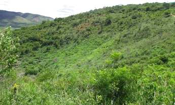 Imagem 5: FAZENDA HUMAITÁ para Venda PRÓXIMA DE ITAMBÉ