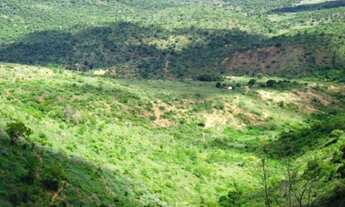 Imagem 6: FAZENDA HUMAITÁ para Venda PRÓXIMA DE ITAMBÉ