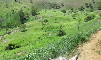Imagem 7: FAZENDA HUMAITÁ para Venda PRÓXIMA DE ITAMBÉ