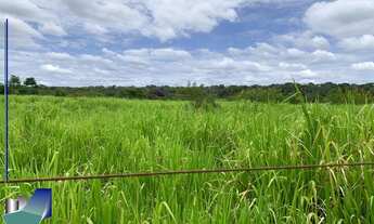 Imagem 5: Fazenda a venda Riacho Frio PI - Parnaguá PI