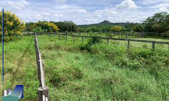 Imagem 3: Fazenda a venda Riacho Frio PI - Parnaguá PI