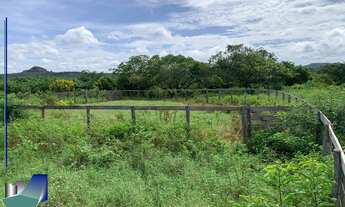 Imagem 2: Fazenda a venda Riacho Frio PI - Parnaguá PI
