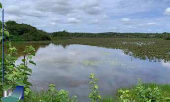 Imagem: Fazenda a venda Riacho Frio PI - Parnaguá