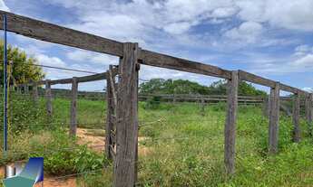 Imagem 7: Fazenda a venda Riacho Frio PI - Parnaguá PI