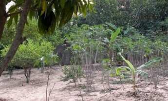 Imagem 2: 2 dormitórios na Rua C