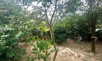 Imagem 5: 2 dormitórios na Avenida 68 Jca