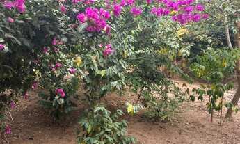 Imagem 3: 2 dormitórios na Avenida 68 Jca