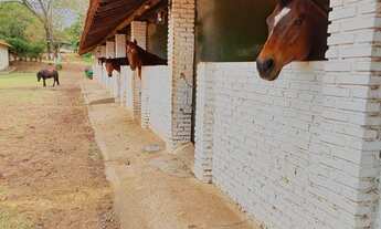 Imagem 6: 3 dormitórios na Rua Mata Negra