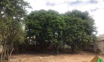 Imagem 2: 3 dormitórios na Rua 9