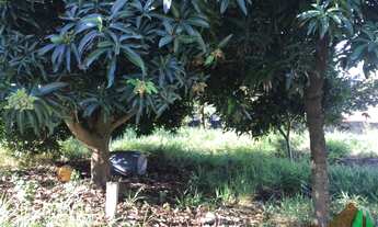 Imagem 3: 300M² de Área Total na Rua 25 Com Avenida 3 E