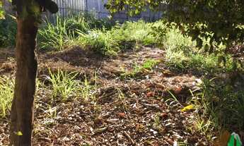 Imagem 6: 300M² de Área Total na Rua 25 Com Avenida 3 E