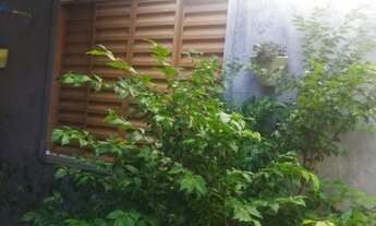 Imagem 7: 3 dormitórios na Rua P5