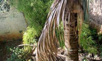 Imagem 7: 195M² de Área Construída na Avenida 22 Com Ruas 3 E 4