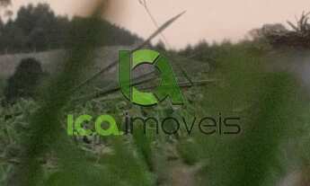 Imagem 4: Vendo Chácara de 2.100 mil metros quadrados em Anitápolis SC