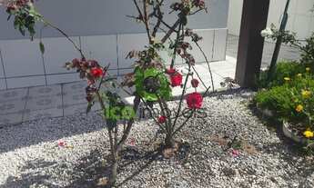 Imagem 3: Imperdível casa com 3 quartos no Bairro Bela Vista em São José-SC: 1 sala, 2 banheiros, 1