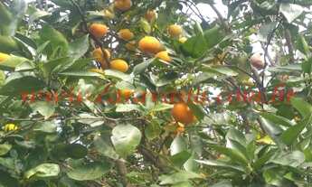 Imagem: Chácara para venda Mairinque