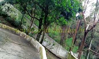 Imagem 6: LOCAL DE MUITO VERDE, PRÓXIMO A RODOVIA ANHANGUERA E PERTINHO DO PICO DO JARAGUA !!!